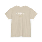 back-2 | lc-color:sand