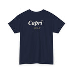 back-2 | lc-color:navy